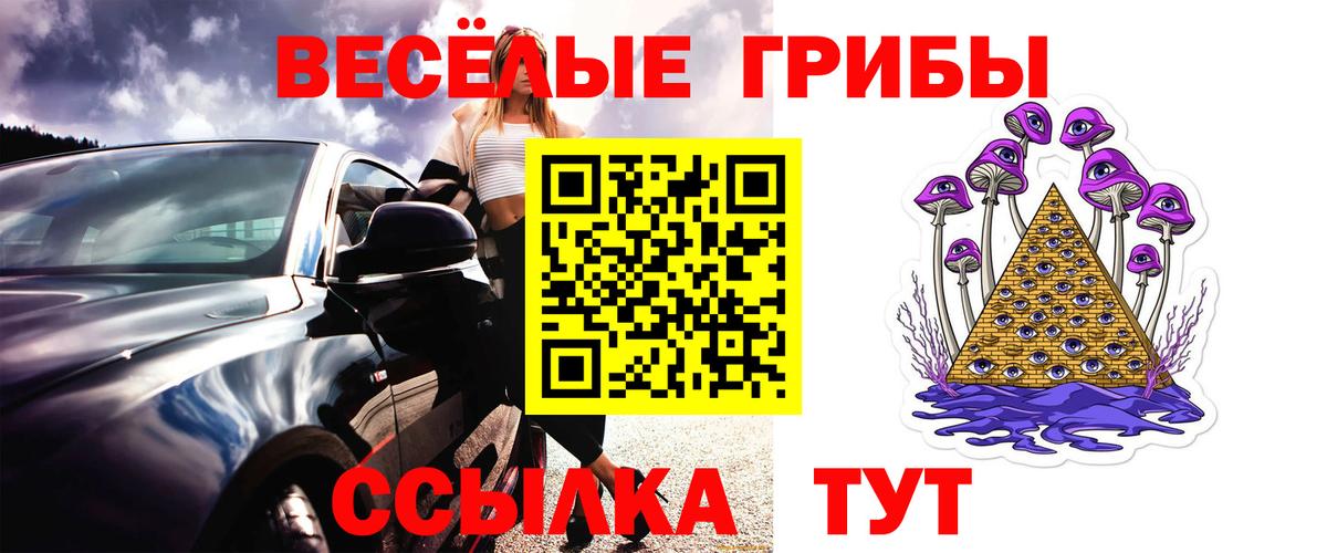 Галлюциногенные грибы мухоморы Гусь-Хрустальный