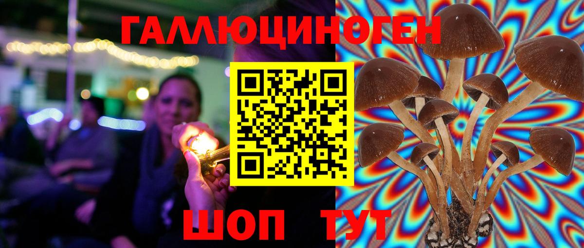 как найти наркотики  Вход с VPN  Псилоцибиновые грибы мухоморы  Гусь-Хрустальный  Галлюциногенные грибы мухоморы 